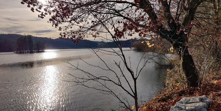 Gasthaus am Seehamer See